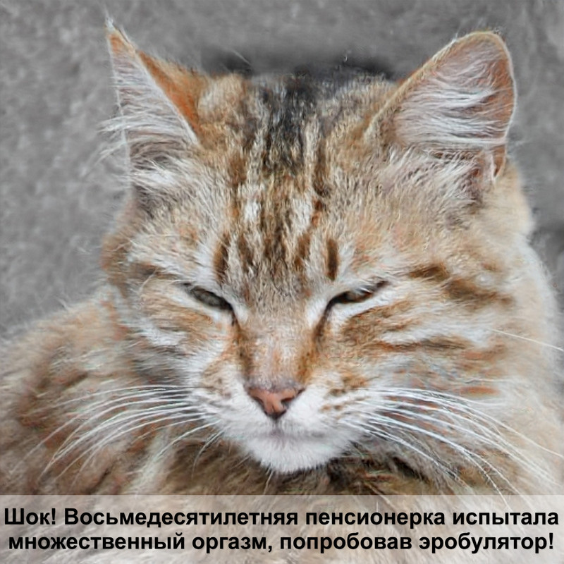 корм для кошек brit care отзывы ветеринаров