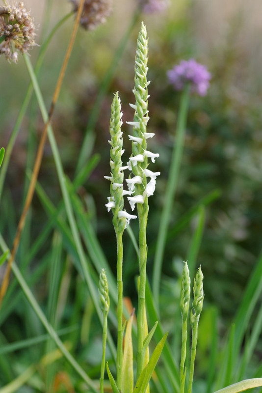 2023 - 10 - 04 (004)