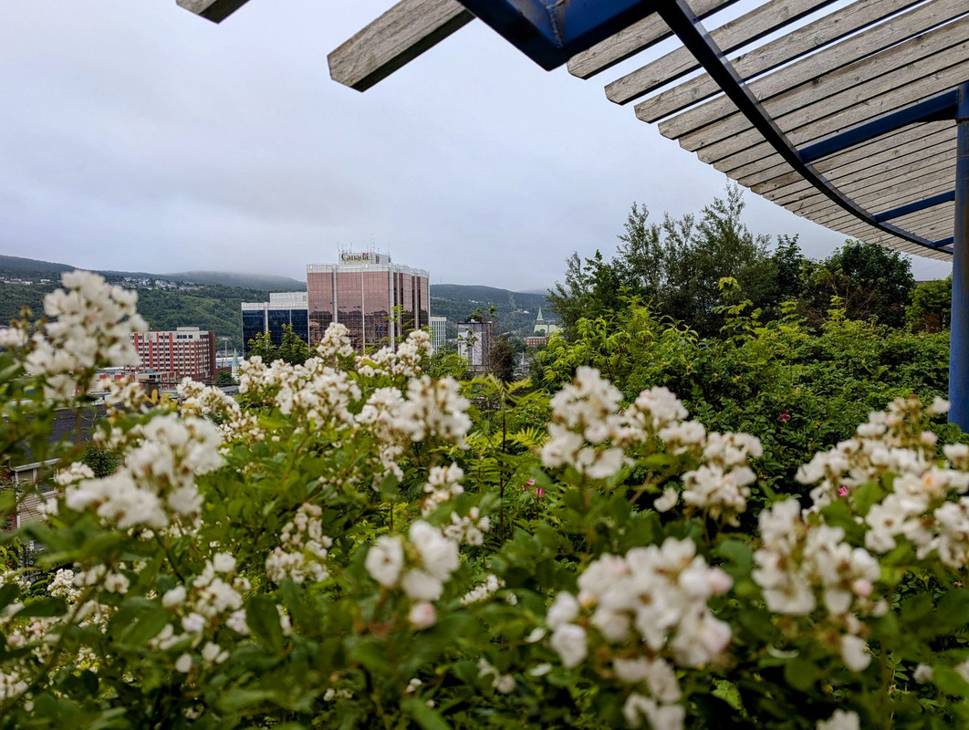 PXL_20240717_095924256.MP~2