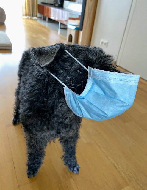 74271-FB7-3880-4-F59-9-EDA-E202-F79-F8-F