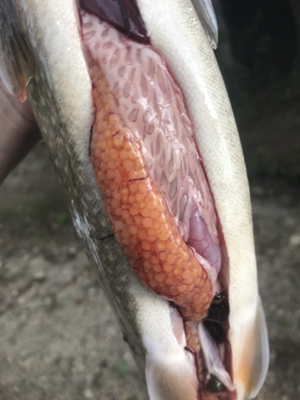 E50E3454-87FC-49A0-9BD4-06A4E3046CDF