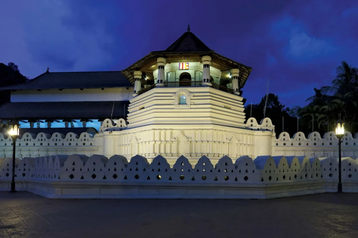 مزارع چای سرسبز در سریلانکا