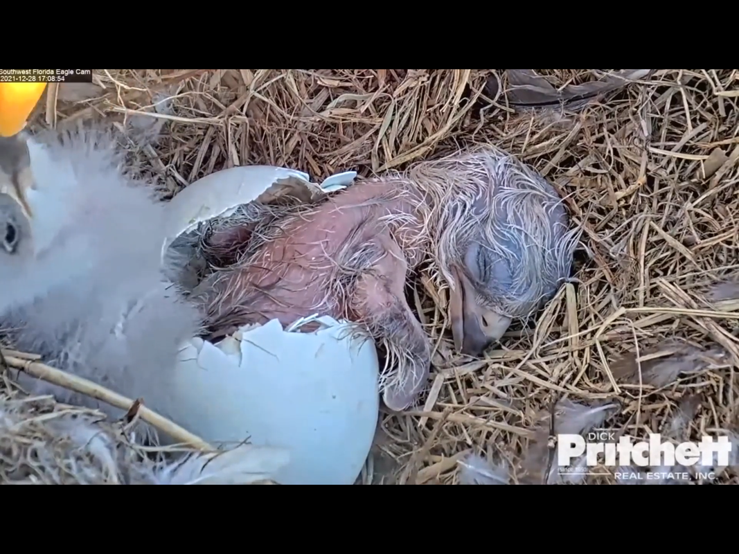 74FA3E35-5C15-477C-80F2-85BEAAB9A42D