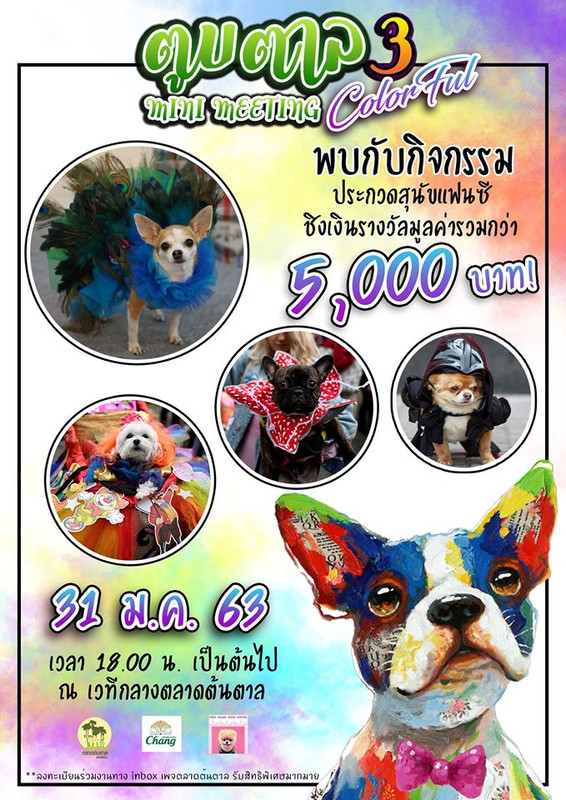 ตูบตาล Colorful Mini Meeting