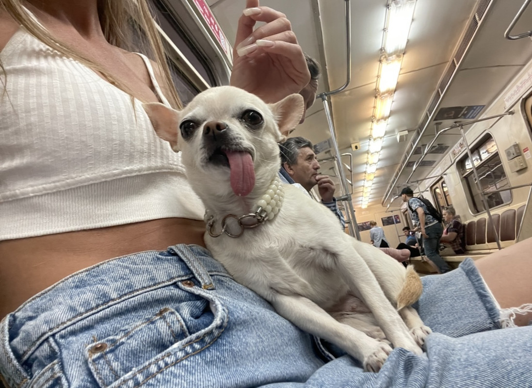 3B6A3A02-8D85-4FC2-91C4-018D8E333E2C