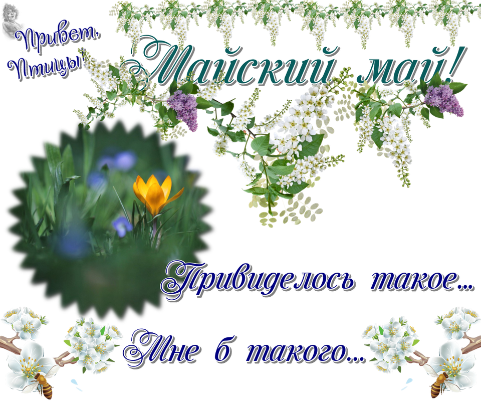 https://i.postimg.cc/d1QG0KBh/16-05.png