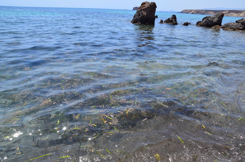 PLAYA DEL RINCON-18-7-2013-MURCIA - Paseando por España-1991/2016 (13)