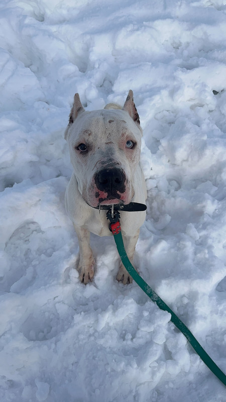 5BAD7611-B662-46A7-A4FC-C0DB7F05F490