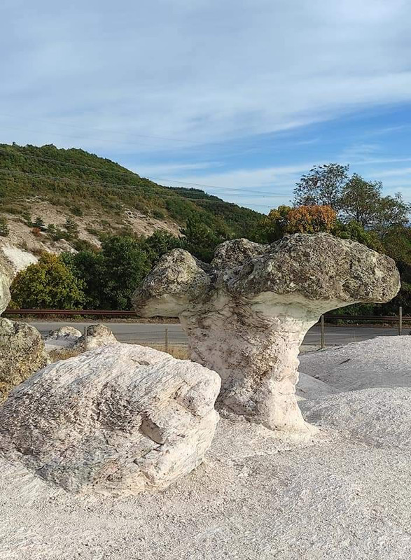 FB_IMG_1632815623878