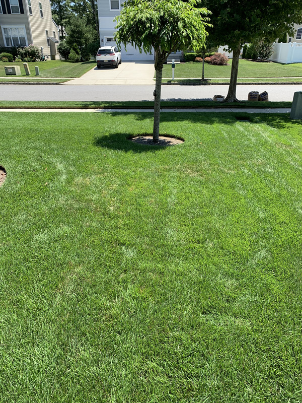 635D760D-9681-47F3-841E-EBBD686CE2A8