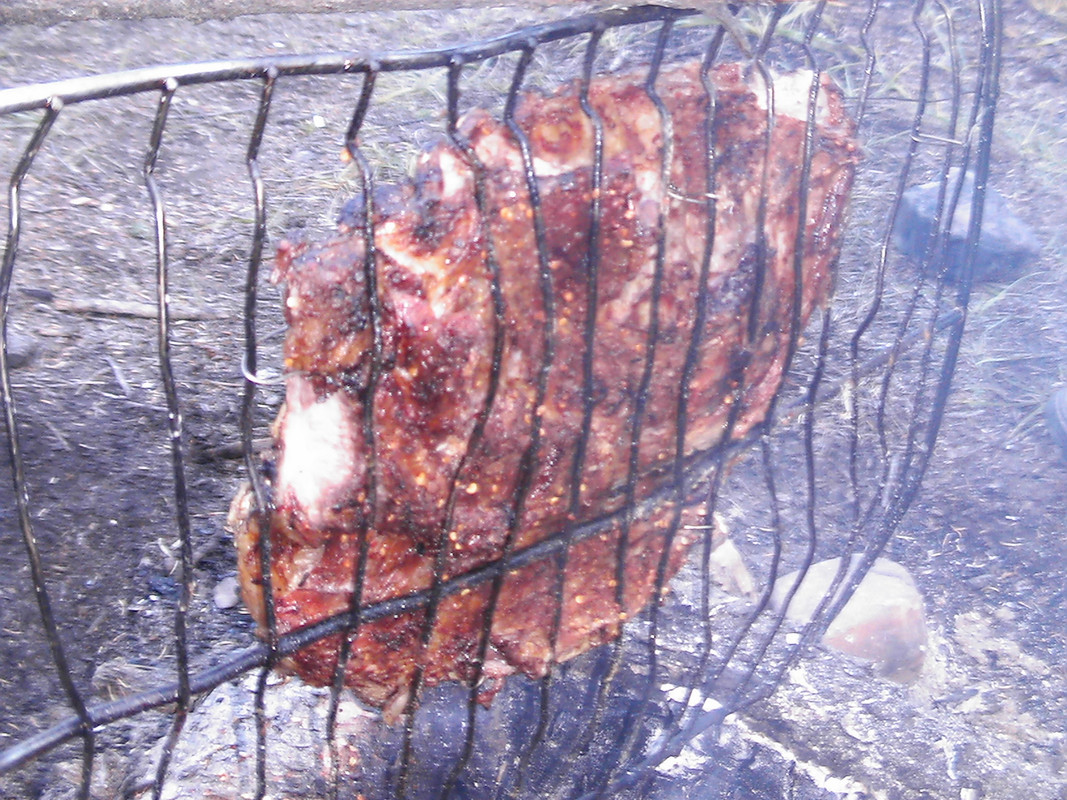 2010 sheep ribs