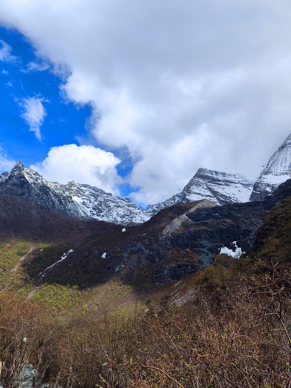 IMG_20230520_150052_副本