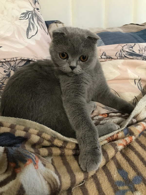 371A653E-99DB-4933-B5AC-017DBC69B8CF