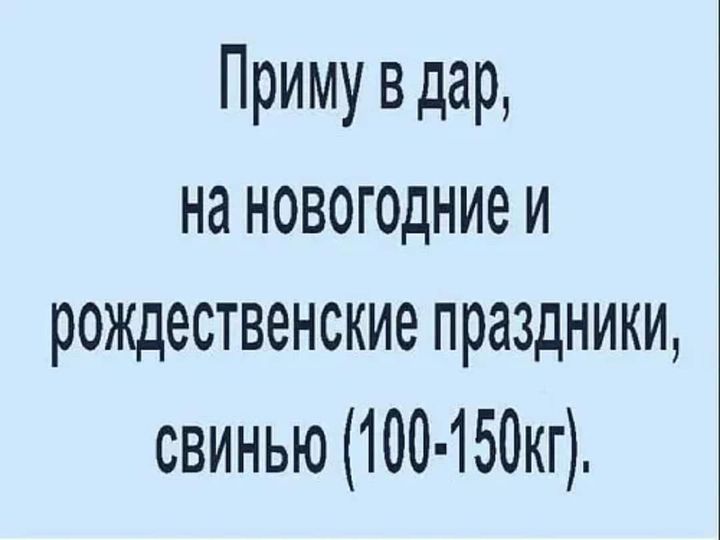267010045-593975798557124-31845434052326