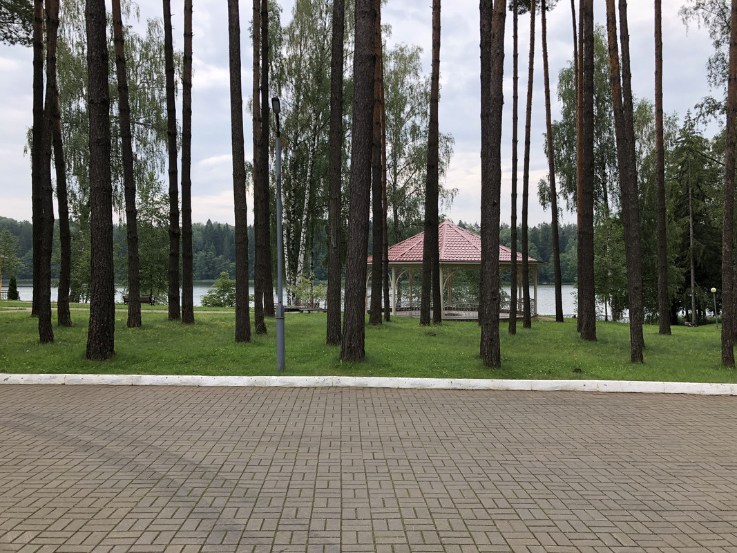 62C5D48E-7C82-4627-9C3B-62448884B915