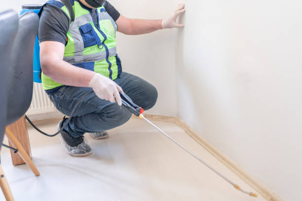 Tampa-Pest-Control-13.jpg