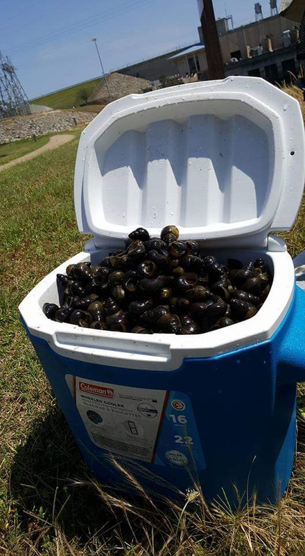 [Image: FB-IMG-1557280343179.jpg]