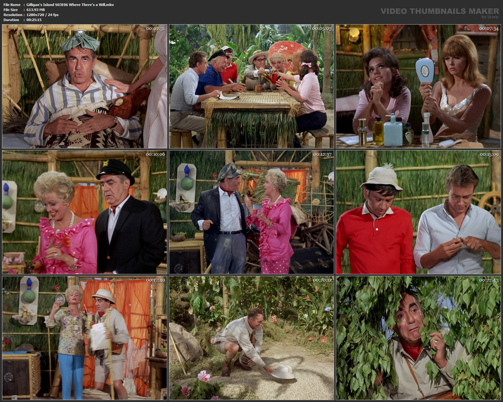 Gilligan's Island S03E06 Where There's a Will.mkv