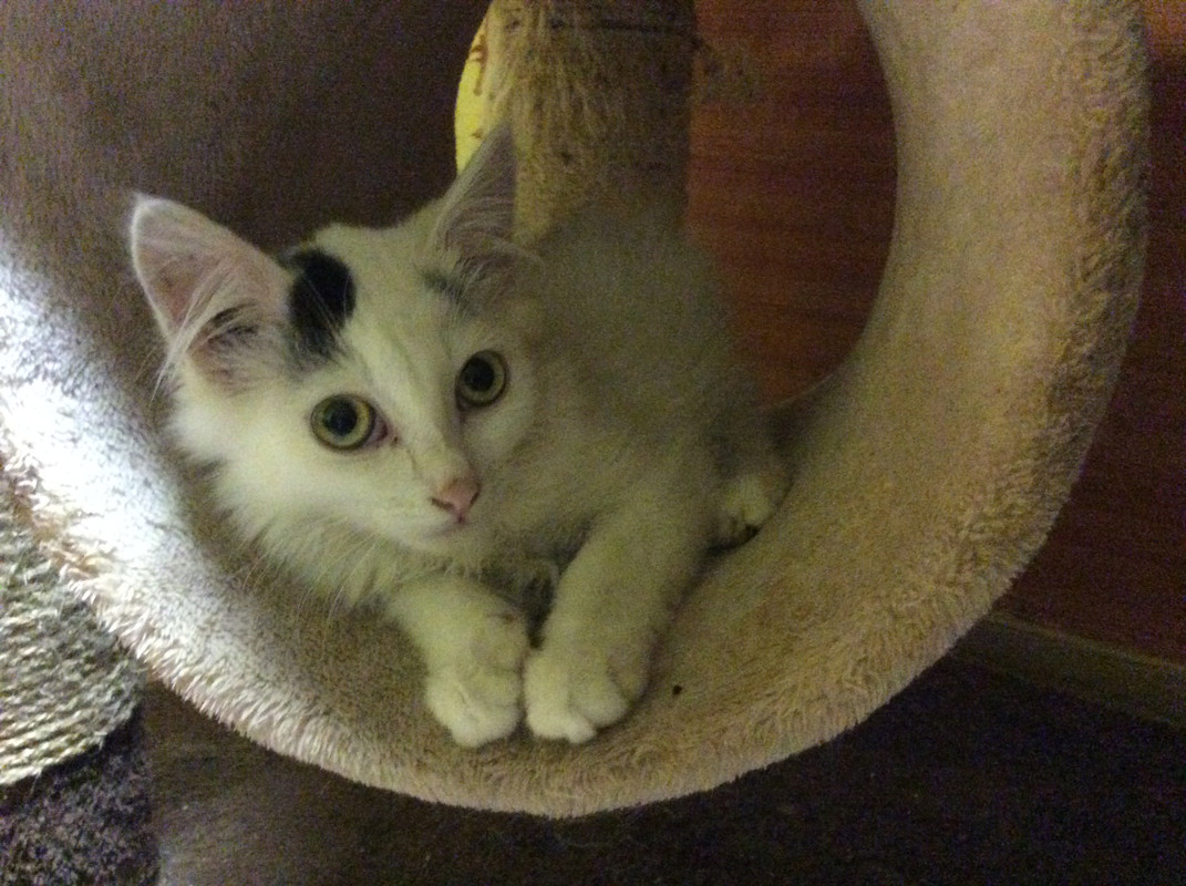 DE80BC77-D607-4DF0-98EA-5D0FD61C1C89