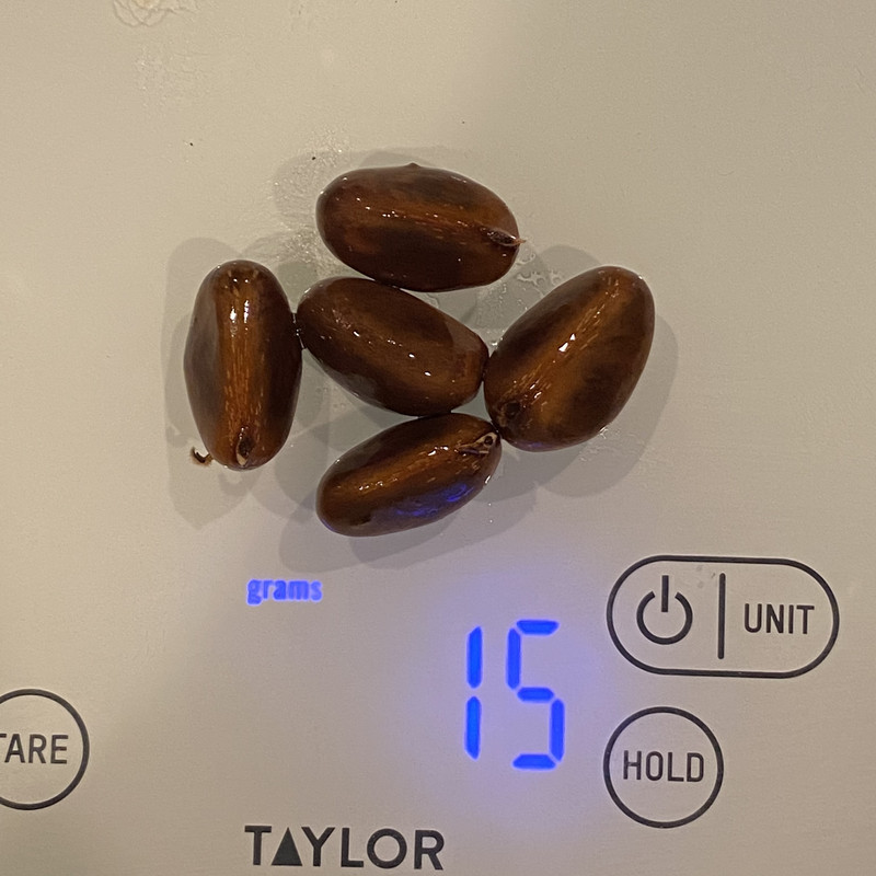 55623359-2862-403C-A459-5E6E3E2522CB