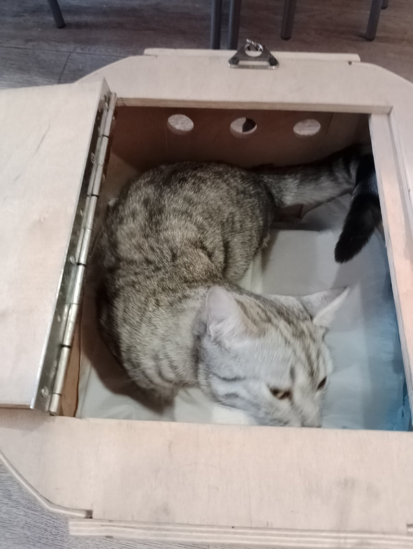 изображение_viber_2024-02-28_11-08-20-221