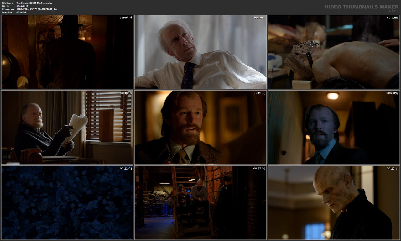 The Strain S03E05 Madness.mkv