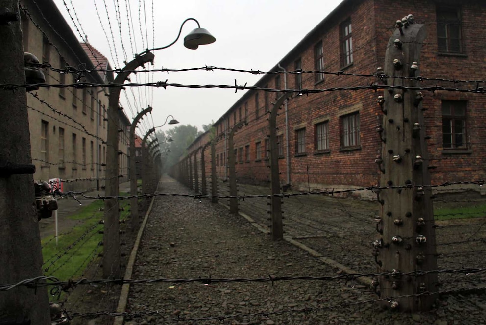 La reapertura se lleva a cabo bajo estrictos protocolos sanitarios para cuidar la salud de los visitantes, grupos de hasta 15 personas, distanciamiento social, necesidad de utilizar barbijos en el interior y se limitó la cantidad de público. Foto Juan Berretta