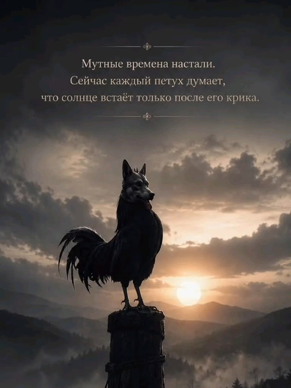 [Изображение: 358a91fcf4367066cf5eae48dad0426c.jpg]