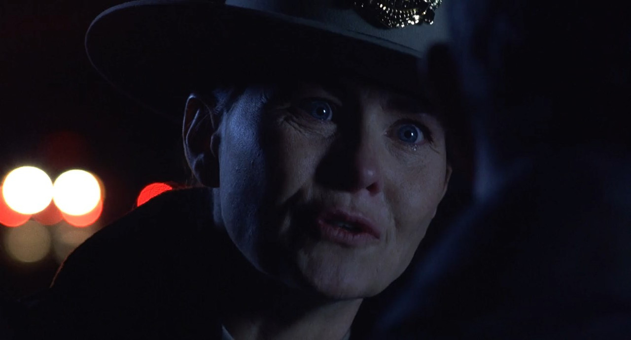 Signs 2002 BluRay [Hindi + English] 480p, 720p ESub Screenshot