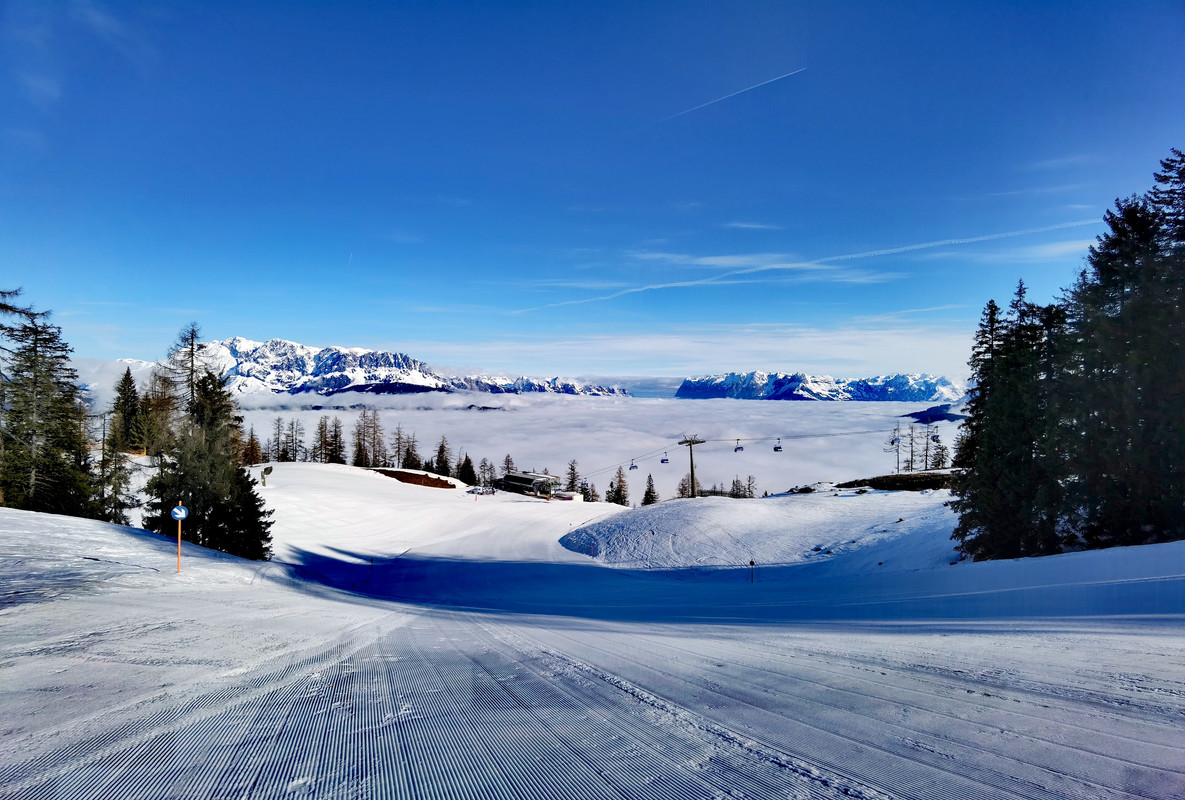 IMG_20220406_084545_edit_837436283940966