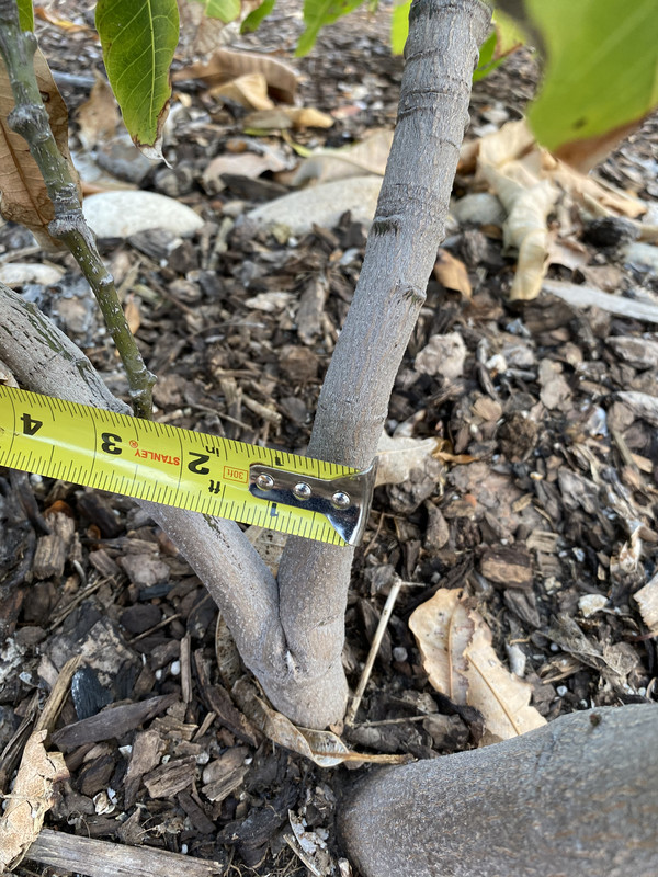 DEAD4097-5246-4991-8CBA-A50A3A35B221