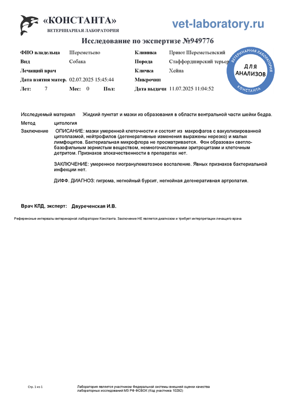 По экспертизе (949776)