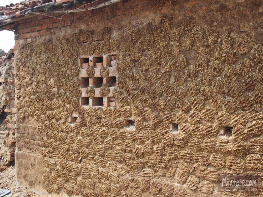 BBG&B12AStrollToSujataTemple - 6