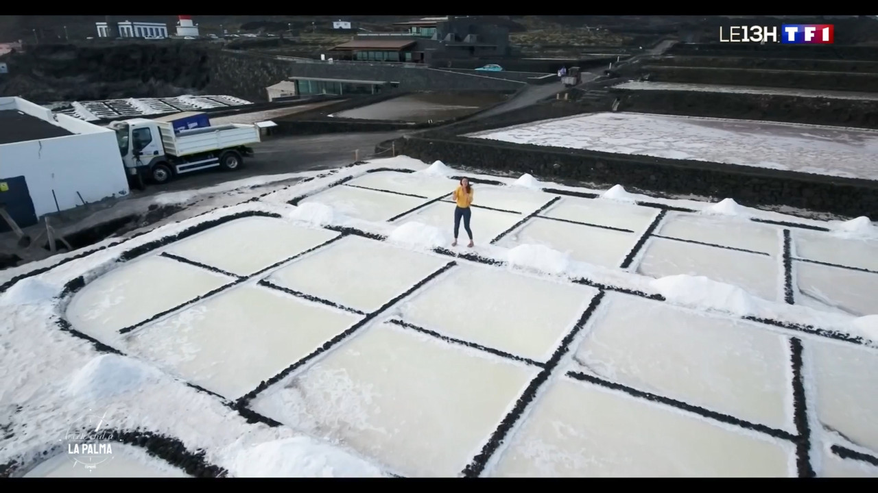 2021-07-10_13_00_TF1_Le-13h.mp4_snapshot_00.23.44.595