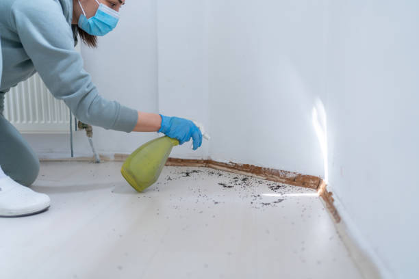 pest control tampa