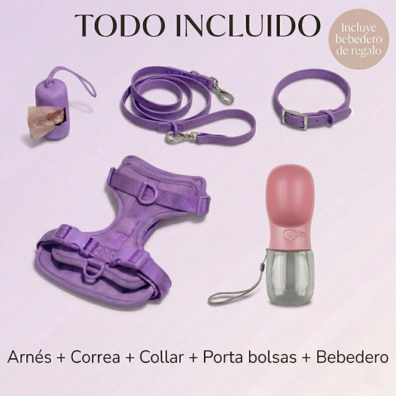 Kit de Paseo 4 en 1 Glower Up completo