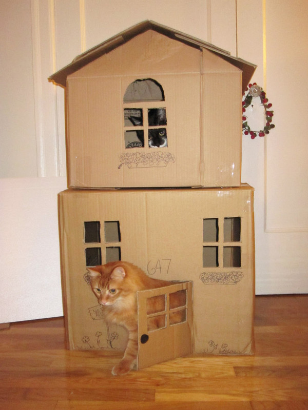 cat-forts12.jpg