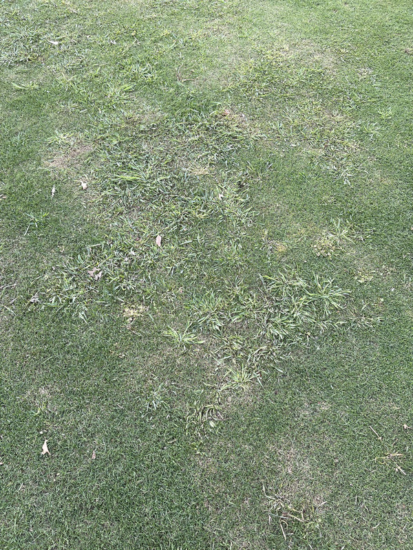 AA079717-F04D-4598-AB79-6D57AFB051D6