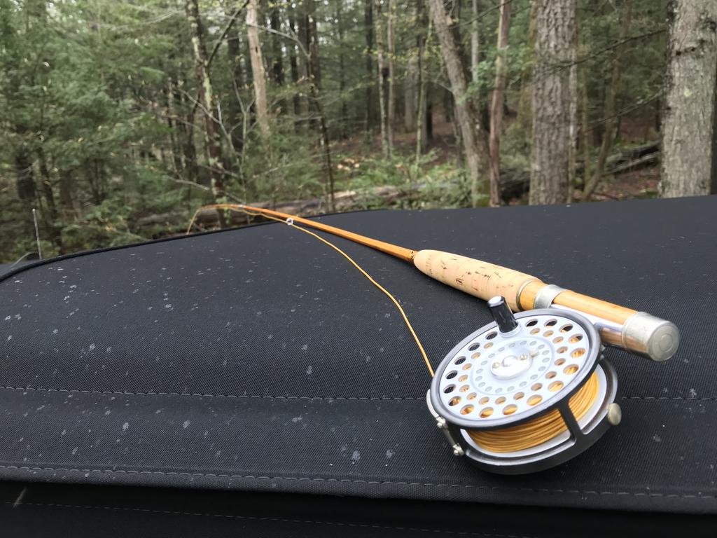 EAEE02AA-D160-4EDA-AC32-8E20EF91F338