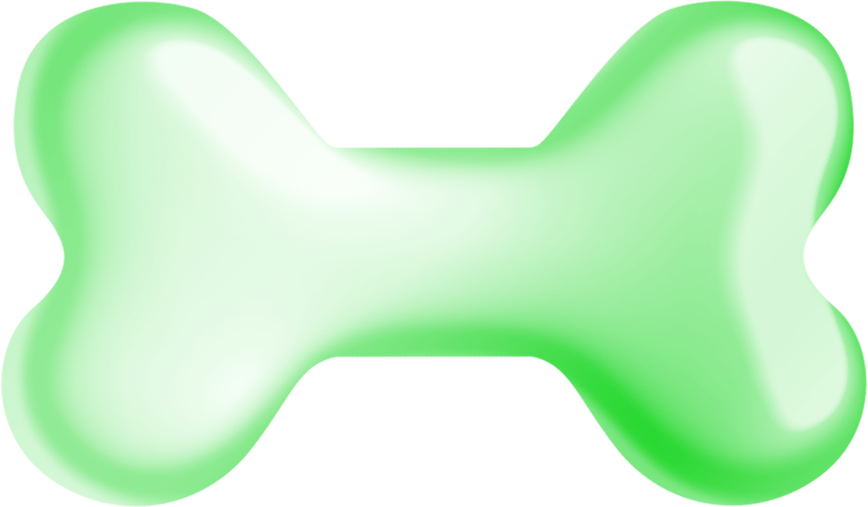 Christmas in Forest12