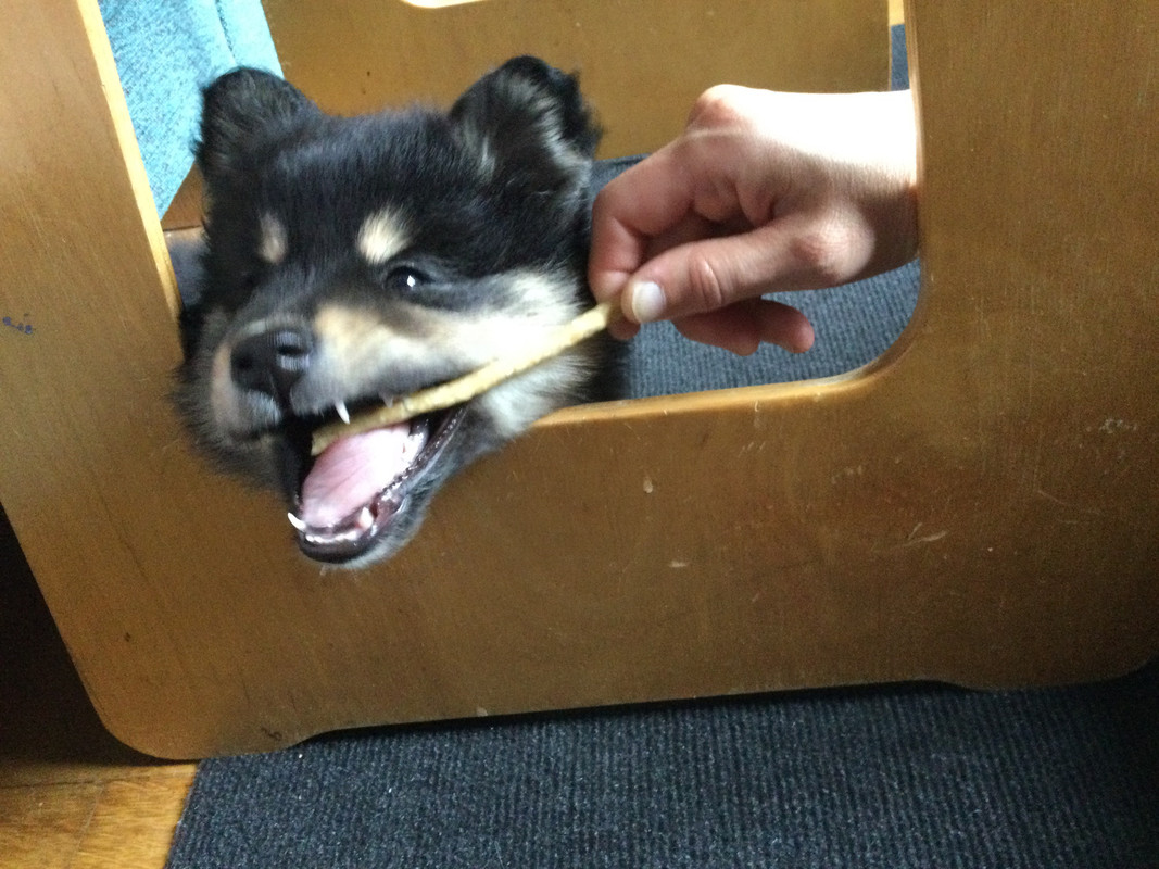 ABCABA76-A453-4F5A-9FED-950DAAFBC146