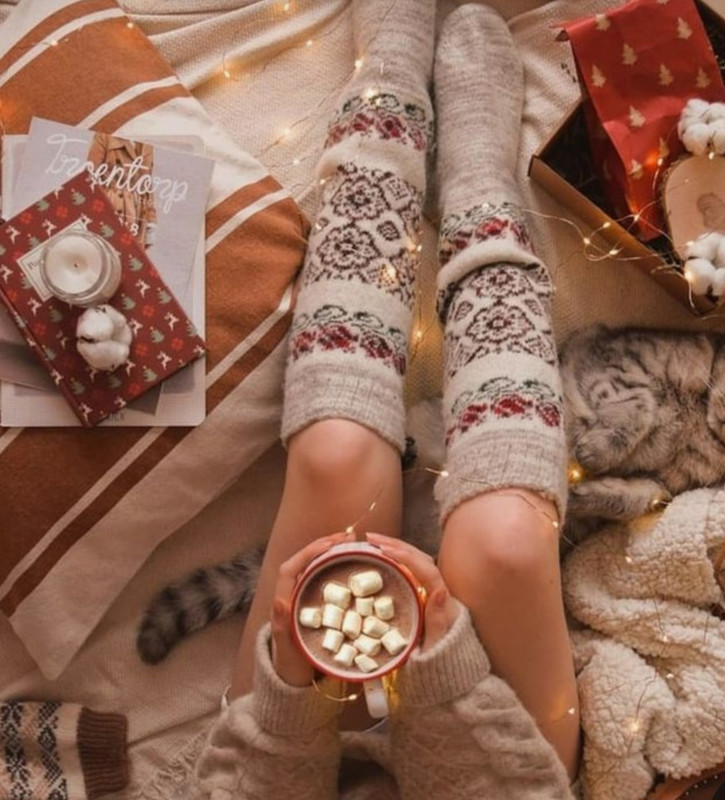 Screenshot_20230225_011304_Pinterest