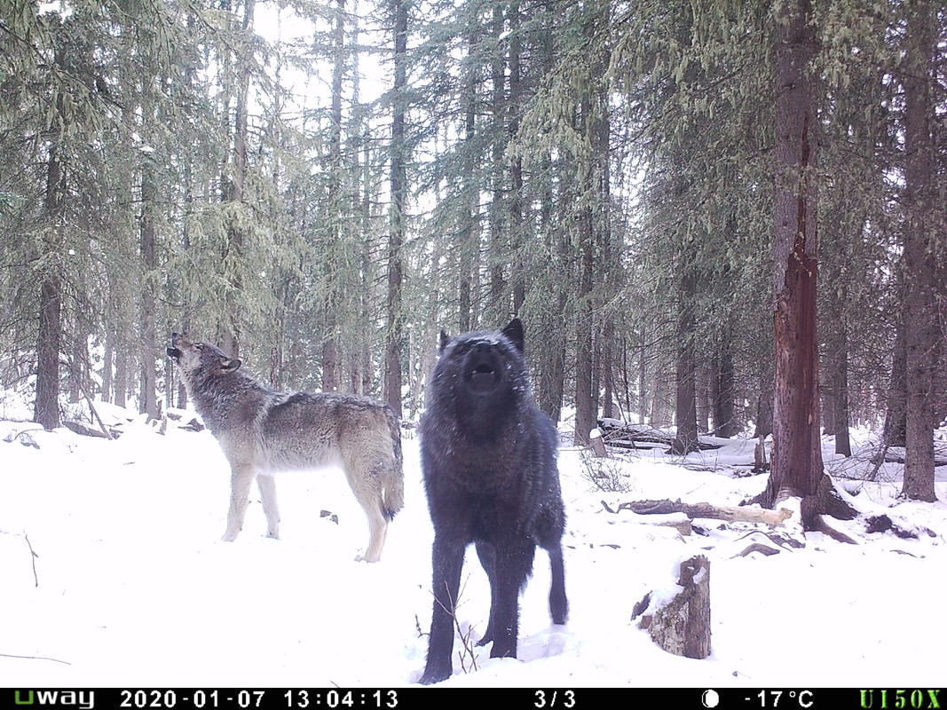 50E66DEE-90AB-4422-9FFB-7F825A7CB83C