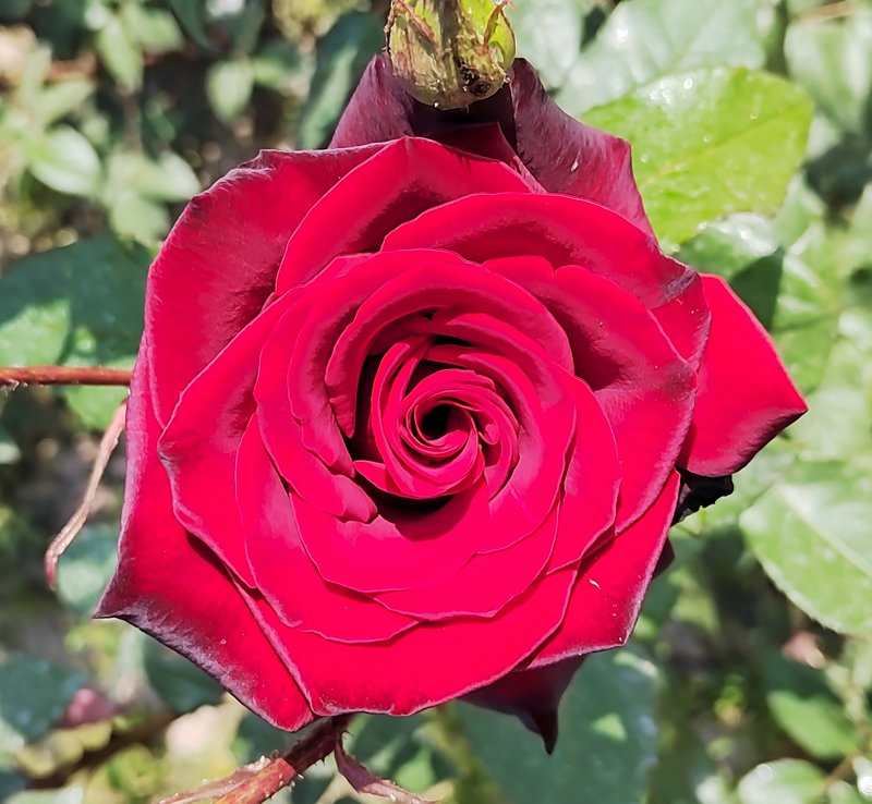 https://i.postimg.cc/d1WHz3SQ/12-IMG-20230424-092508.jpg