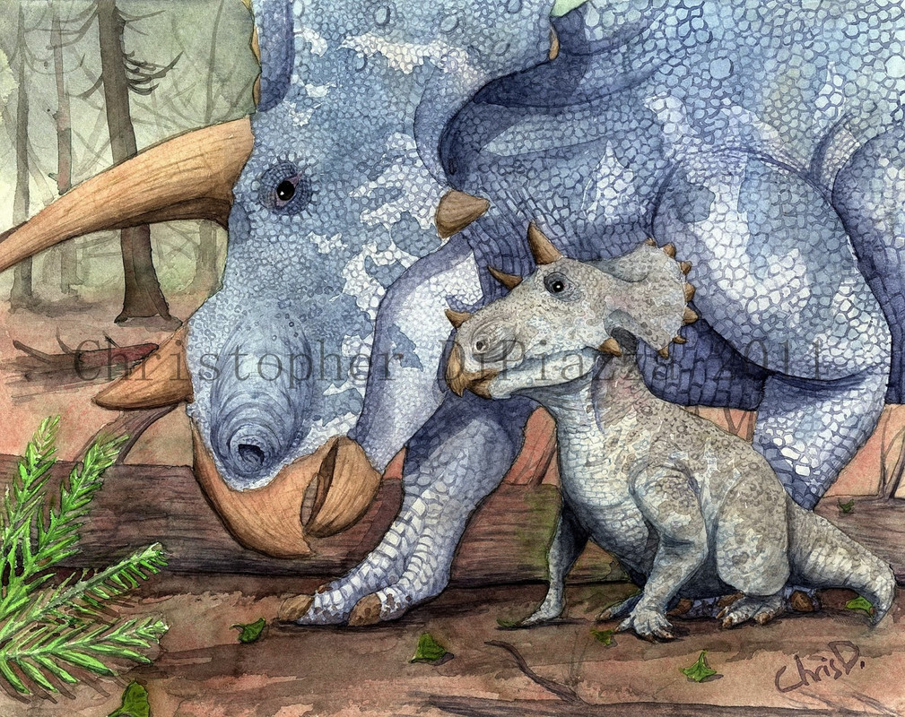 Triceratops 1 (wm)