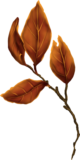 ISmellAutumn-LL-Element55