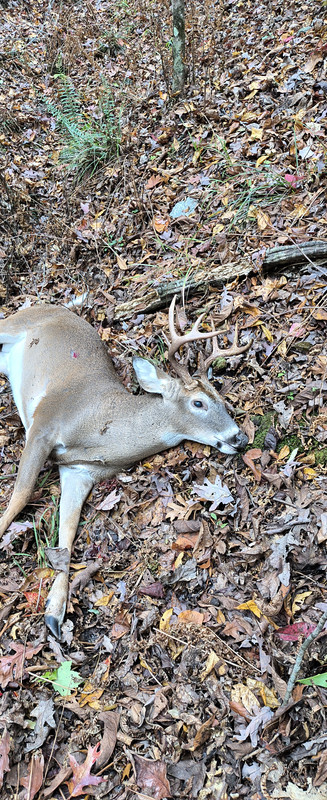 IMG_20241106_081607100_HDR