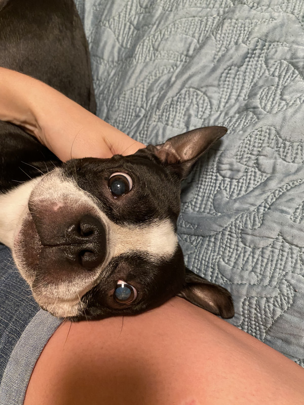 3EF9FDC3-1F80-4DBD-8615-4BFA9B40EF0A