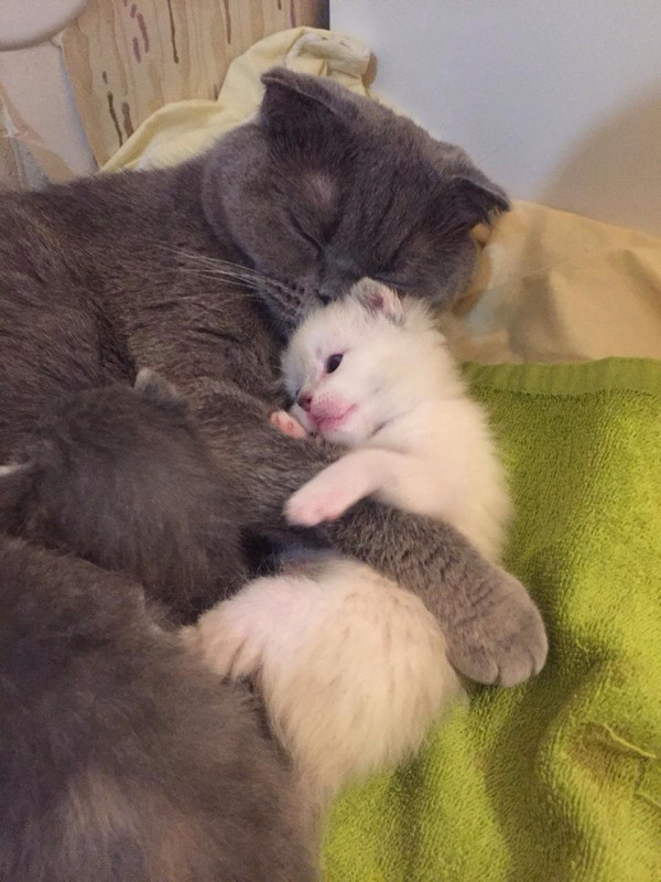 Маня с доченькой