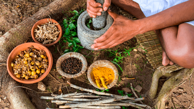 Indigenous Medicine And Herbalism From A Mayan Healer -intro